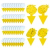 40 Pack Yellow Sticky Traps for Fruit Flies and Gnats