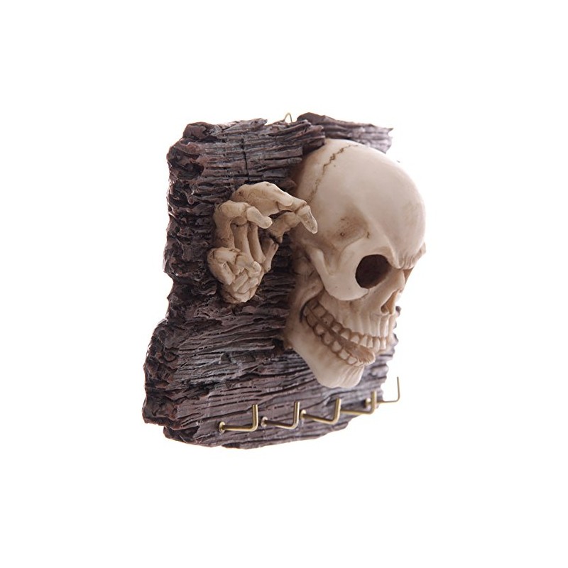 Key Holder Wall Sculpture Skull Skeletal kommt