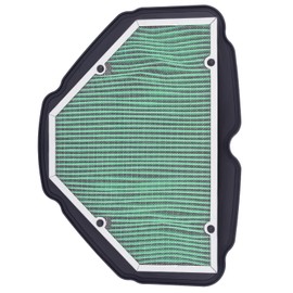 Road Passion 17210-MKC-A00 Air Filter Replacement for Honda Goldwing 1800 GL1800 Tour 2018-2023/ Goldwing 1800 GL1800B 2018-2021/ Goldwing 1800 GL1800BD Automatic DCT 2018-2023