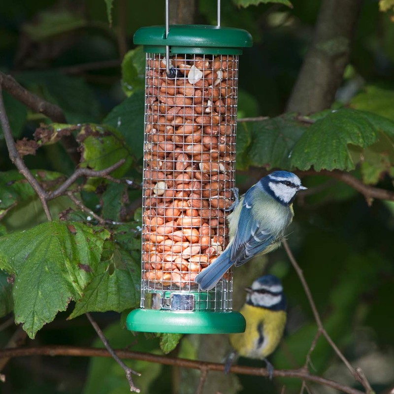 Ring-Pull Small Bird Feeder for Peanuts - Green