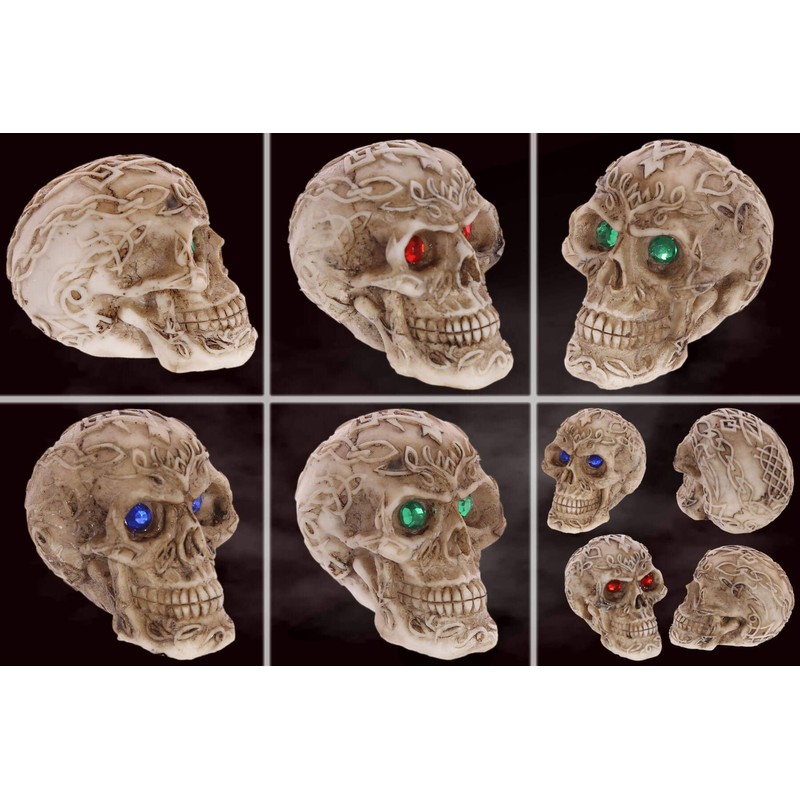 mtb more energy [Set of 3] Decorative Skull "Shaman's Prophecy"