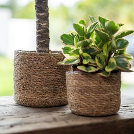 DARO DEKO Seagrass Basket Round Natural Diameter 21 x 18 cm with Insert Flower Pot Braided Storage Basket Over Pot Flower Basket