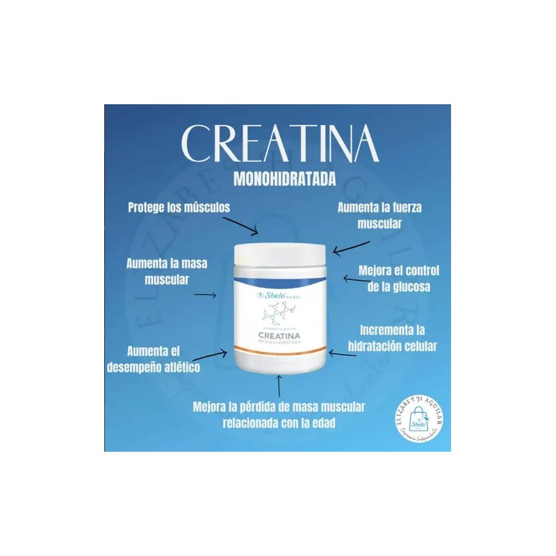 Sheló Nabel Creatina Monohidratada En Polvo 460g
