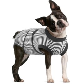 FUAMEY Dog Recovery Suit Male,Dogs Surgery Neuter Suits Puppy Spay Shirts for Female Protect Dog's Skin Anti Licking Abdominal Wounds Doggie Onesie Pet Bodysuit Alternative to Cone Gray Stripes L