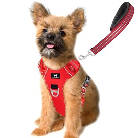 TUFFDOG Easy-Fit Dog Harness Small Dog - Fast Release Neck Clip, Premium Padded Reflective No Pull Harness with Control Handle, Adjustable Step-in Dog Vest Plus Free Matching Lead (S, Poppy Red)