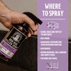 Grandpa Gus's Natural Bed Bug Killer Spray, 48 Hours Time-Release