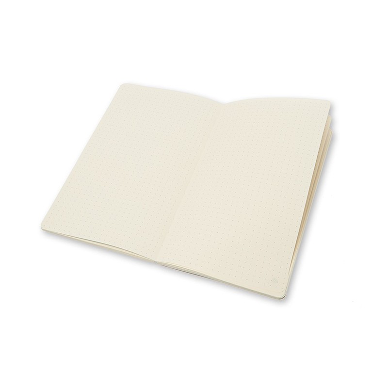 Moleskine Chapters Journal Mist Green Slim Large Dotted