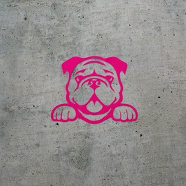 ANGDEST CLUB Decal Stickers of Bulldog Peeking (Pink) Premium Waterproof Vinyl Decal Stickers for Laptop Phone Accessory Helmet Car Window Mug Tuber Cup Door Wall Decoration ANDSKUS535536PI070722