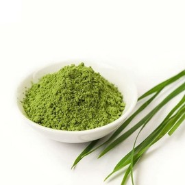 힐링스토리 제주산 새싹보리 분말 250g 2통 Healing Story Jeju Sprout Barley Powder 250g 2 Containers