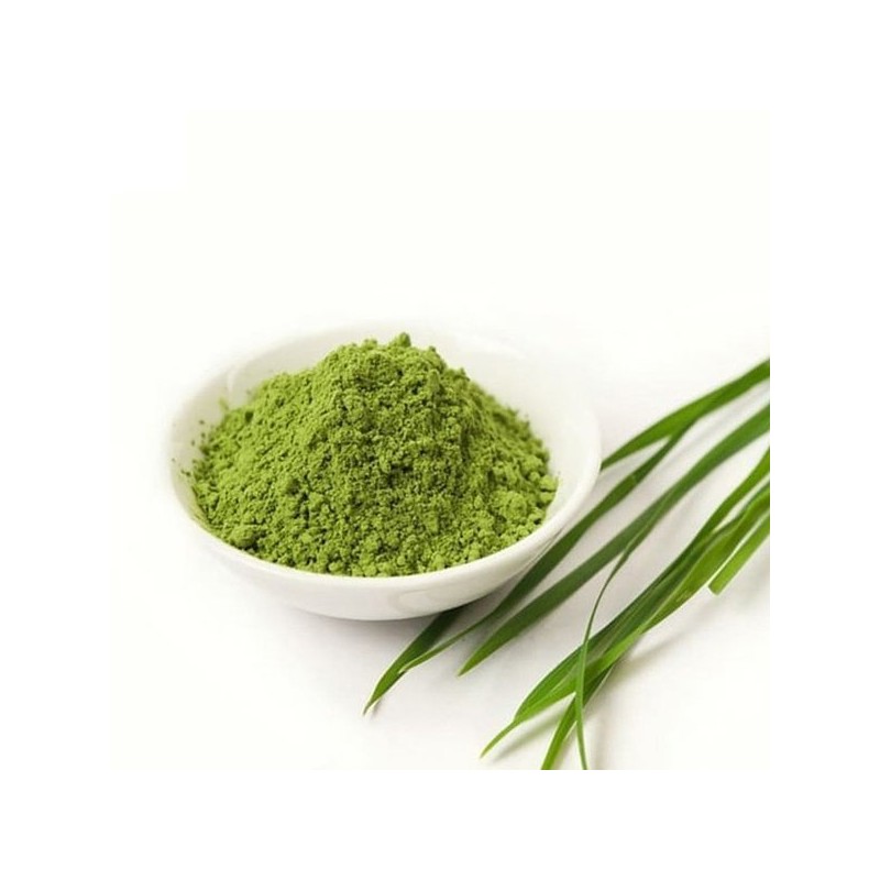 힐링스토리 제주산 새싹보리 분말 250g 2통 Healing Story Jeju Sprout