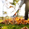 AgroPro Leaf Rake for Lawns, Adjustable Garden Rake for Leaves