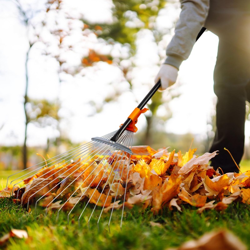 AgroPro Leaf Rake for Lawns, Adjustable Garden Rake for Leaves