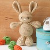 Leisure Arts Amigurumi Adorable Collect Crochet Book, Crochet Pattern Books,