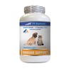 cat Immune Health - PET Immune Support - Dogs and