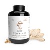 Pilze Wohlrab - Coprinus Extract Capsules Organic, Pure Schopftintling Vital