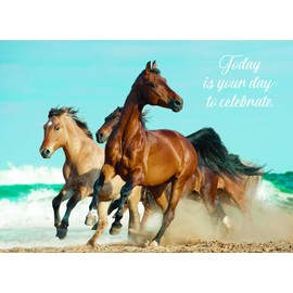 Shared Blessings Wild Horses 1 Count Religious Birthday Card, King James Version Scripture, Christian Birthday Card with Envelope