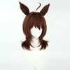 Agnes Tachyon Cosplay Wig and Tail Anime Game Uma Musume