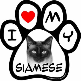 Imagine This Company I Love My Cat Paw Shaped Pet Magnet; Removable Magnets for Cars, Fridges, Lockers Stylish Pet Inspired Car Accessories, 5 1/2 x 5 1/2 inches, Black/White, I Love My Siamese