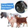 Harhana Goat Hoof Rasp File, Farrier Rasp for Small Hooves,
