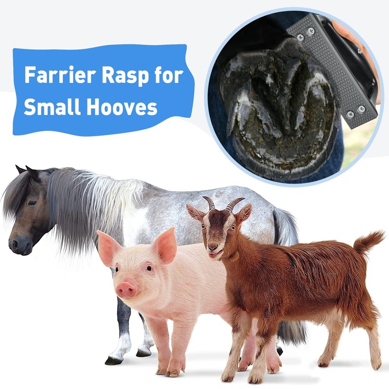 Harhana Goat Hoof Rasp File, Farrier Rasp for Small Hooves,