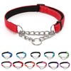 LOS ANDES Dog Choke Collar Martingale Collar with Limited Chain