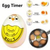 Pack of 2 Egg Timer Resin, Colour Changing Egg Timers,