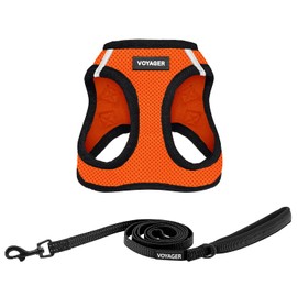 Voyager Step-in Air All Weather Mesh Harness and Reflective Dog 5 ft Leash Combo with Neoprene Handle, for Small, Medium and Large Breed Puppies by Best Pet Supplies - Orange, X-Large