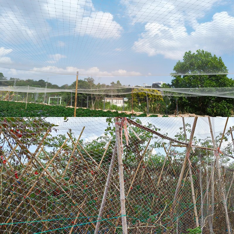 LINSOCLE Bird Protection Net 5 x 5 m, Stable Bird