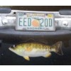 BRAND NEW BASS TRAILER HITCH COVER - WITH ADAPTERS TO