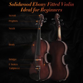 Ceciliec Acoustic Violin 4/4 Full Size, Solid Wood Fiddle for Beginners Adults, Ebony Fitted Satin Antique Finish Violin Starter Kit with Hard Case