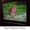 Cocar P1-SN40 40 inch Portable Projection Screen for Mini/Professional LED/LCD/DLP