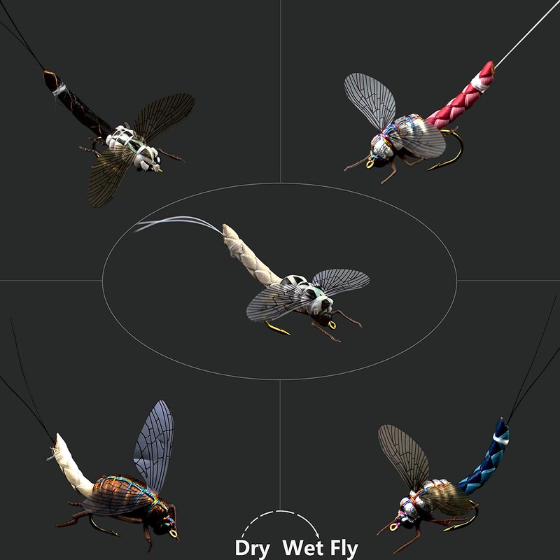 Fly Fishing Kit with Fly Box/Nymph/Dry Flies, Wet Flies/Streamers/Realistic Flies