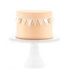 Satin Ice Fondant for Cake Decorating, Peach Petal (2 Pound)