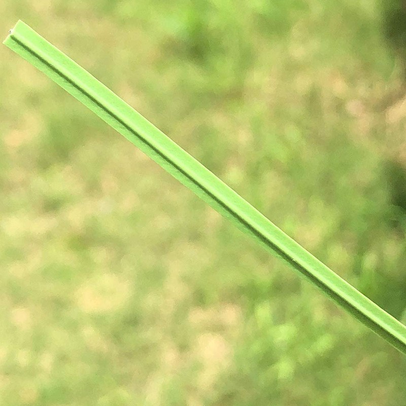 VIMOA Garden Twist Tie Plant Ties Strips 200 pcs 6”