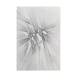 Briartw 3D Embossing Folder For Card Making Adding Textured Detail to Paper Crafting 6.3x4.5inch Clear Texture Plate Perfect For Heavyweight Cardstock (≥250gsm/92lb),Brilliant Light Texture Template
