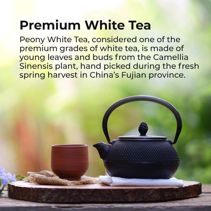 Prince of Peace Premium White Tea, 100 Tea Bags –