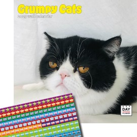 Dayplanner Publishing Grumpy Cats Calendar 2025, Large Square Wall Calendar With Organisational Stickers, 16 Month, Grumpy Cats Gift Animal Calendar