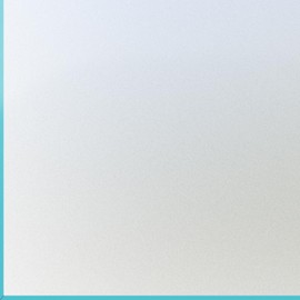 DERZGAO Window Film Privacy Day and Night with Installation Tools, Static Cling Glass Film Ideal for Home Shower Office Glass Door (White 23.6X78.7Inch)