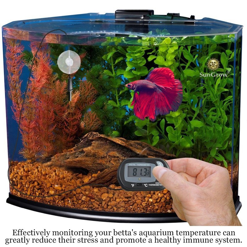 SunGrow Digital Betta Thermometer for Tropical Aquarium Fish, Black Color,