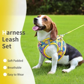 Jolifield Step in Dog Harness with Leash Set, Adjustable Soft Padded and Breathable Mesh for Medium Sized Dog, Reflective No Pull No Choke Cat Vest Harness, Easy Control Pet Vest, Yellow XL