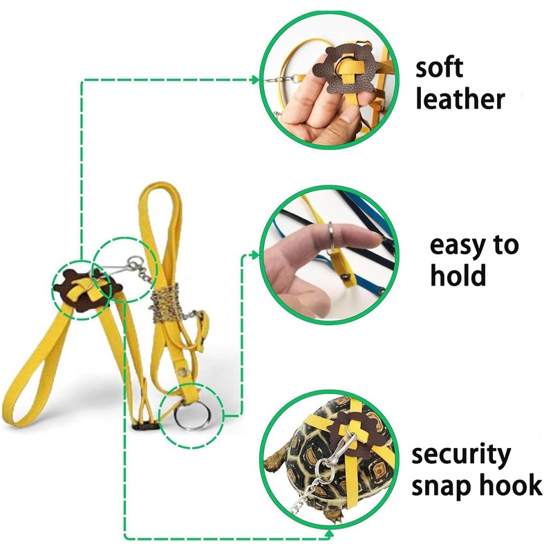 Lyfengdeam Adjustable Tortoise Leash and Funny Skateboard Set, Pet Tortoise