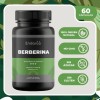 Berberina 500 mg 60 Cápsulas Vegetales Sin Sabor Endaroo Pack