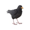 Pflanzen Kölle Iron Blackbird, Black, Approx. 17 x 6 x