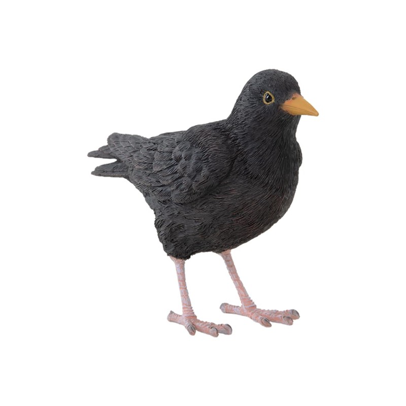 Pflanzen Kölle Iron Blackbird, Black, Approx. 17 x 6 x