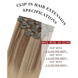 SAFIRENY Clip in Hair Extensions Human Hair,Balayage Ash Brown To Caramel Blonde,Hair extensions Clip In 6pcs Per Set With 18 Clips 14 Inch 120grams(#10/27/27,22")