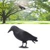 Simulation Plastic Crow Statue Hunting Cultures Protect Bait Decoys Tool