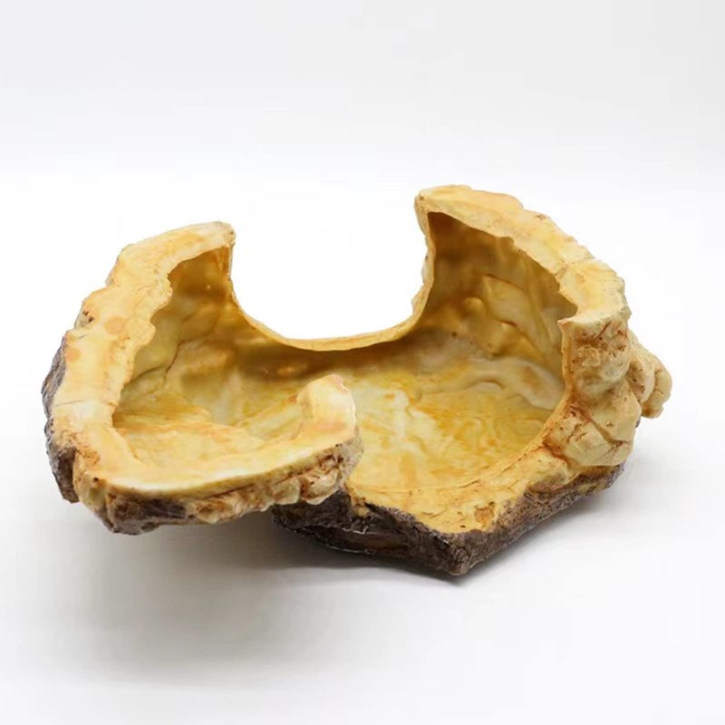 Toolzia Large Turtle Basking Platform, Turtle Tank Ramp Platform, Aquarium