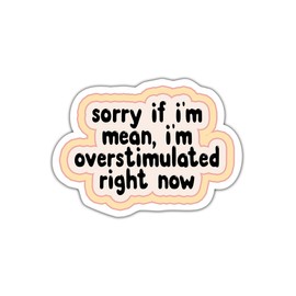 (3 Pcs) Sorry If I'm Mean 3x3 - I'm Overstimulated Right Now - Mental Health Sticker - Cute Self Care Sticker - Retro Sticker - Self Love Sticker - Health Care Sticker for Laptop - Phone