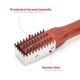 Coitak Fish Scaler Brush, Fish Scaler Remover with Stainless Steel Sawtooth, Ergonomic Wooden Handle, Easily Remove Fish Scales, Cleaning Brush Scraper Kitchen Tool