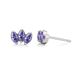 Limerencia Hypoallergenic G23 Pure Titanium Earrings | Crown Cubic Zirconia | F136 Implant Grade Piercing Studs| Suitable for Sensitive Ears Delicate Jewelry (Purple)
